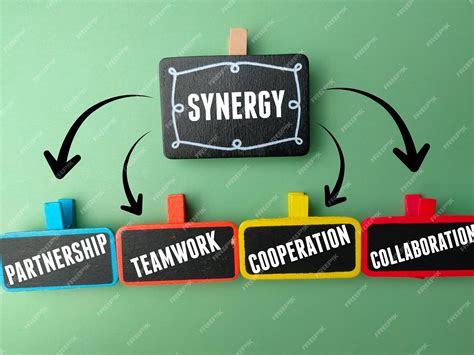 diagrama de sinergia de hierbas