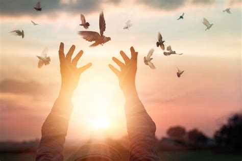 Tanto si buscas paz como profundidad espiritual