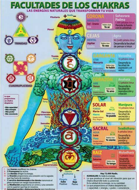 infografía de chakras y kundalini