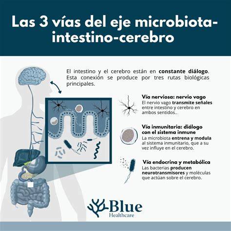 infografico-eje-cerebro-intestino