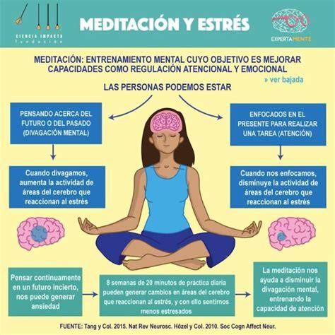 infografía sobre la diferencia entre pensar y observar en la meditación