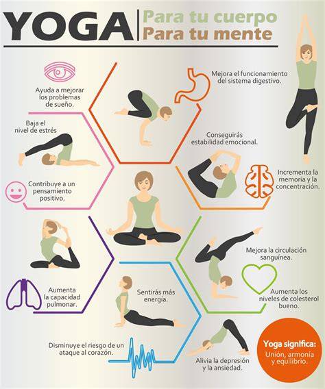 técnicas de yoga y meditación infographic