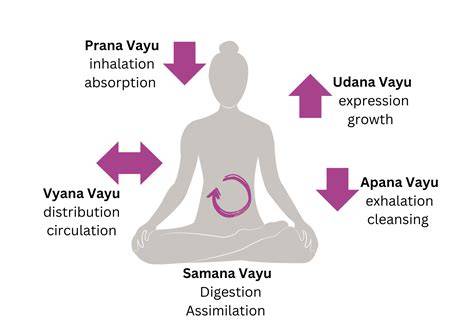 esquema de Vayus Flow y columna