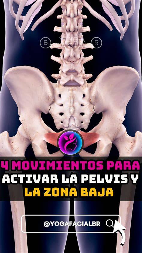 infografía movilidad caderas pelvis