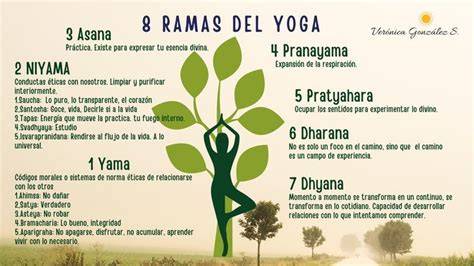 infografica de ramas del yoga y disciplinas