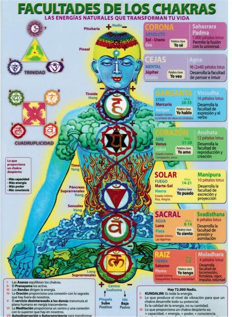 infografía de Kundalini y chakras