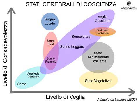 Genera infografica sul percorso dell'Io e della Coscienza