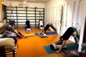 imagen de estudio Iyengar en Vicenza