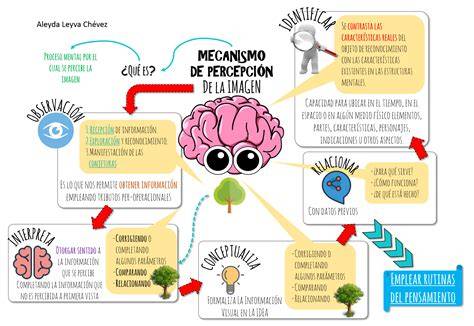 Mapa conceptual y meditación visual