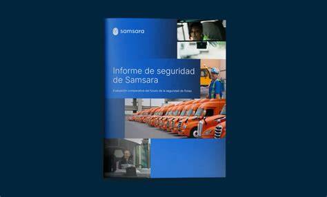 informe visual diagrama de Samsara gran cuenco