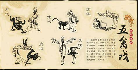 Mapa Daoyin y Wu Qin Xi