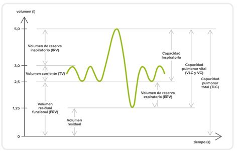 gráfico de flujo de respiración y control de excitación