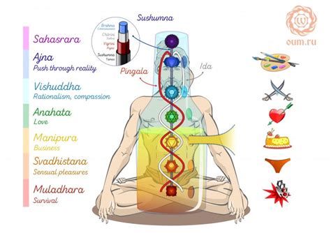 infografía de chakras Muladhara Svadhisthana Manipura