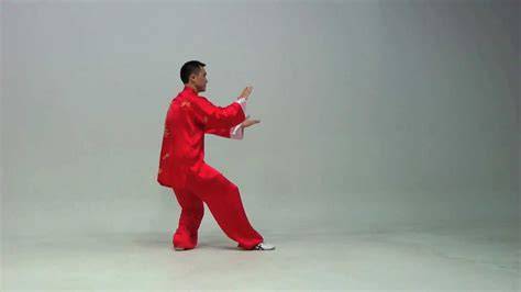 infografico-origenes kung fu y tai chi