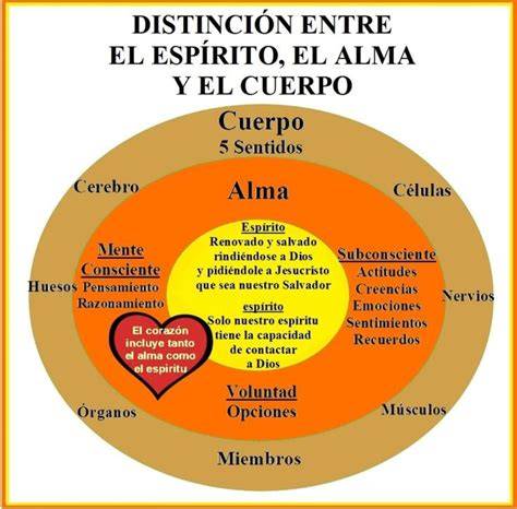 diagrama de la relación entre espíritu, alma y cuerpo