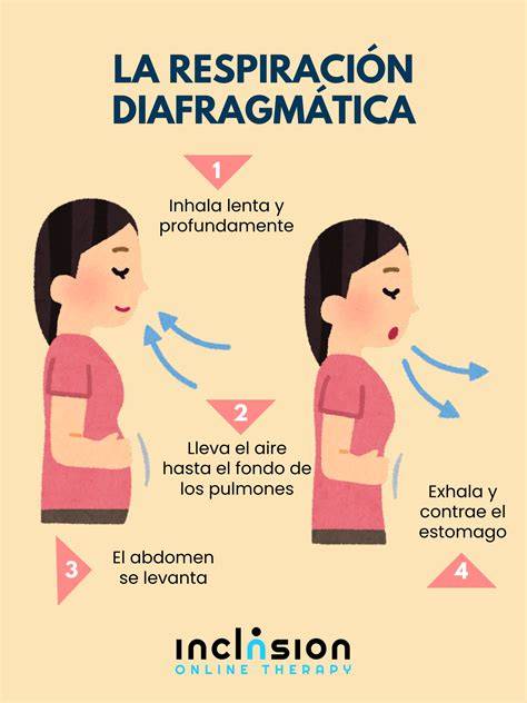Infografía de la sinergia diafragma-abdomen-suelo pélvico