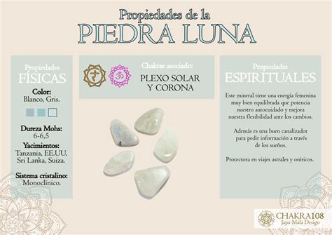iconos de plata y luna (infografía de propiedades)