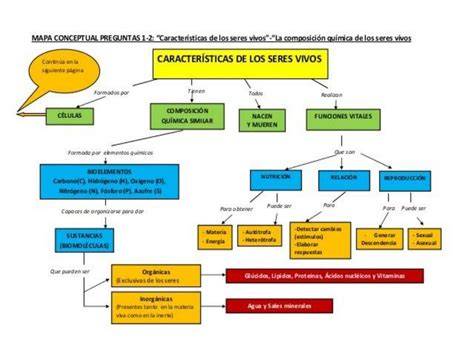 Mapa conceptual de los ejercicios y sus efectos