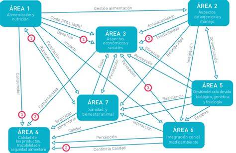 Mapa de interrelaciones entre evangelización, liturgia y caridad pastoral