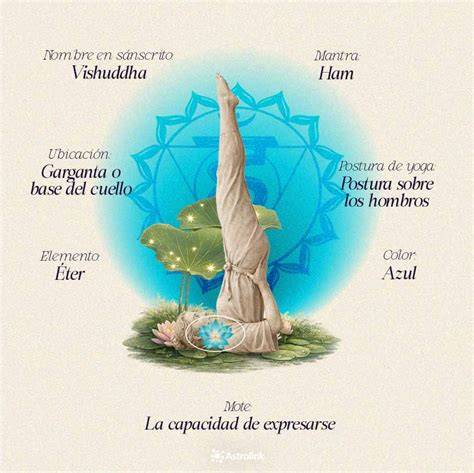Infografía Vishuddha correspondencias