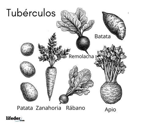 patata y tubérculos históricos