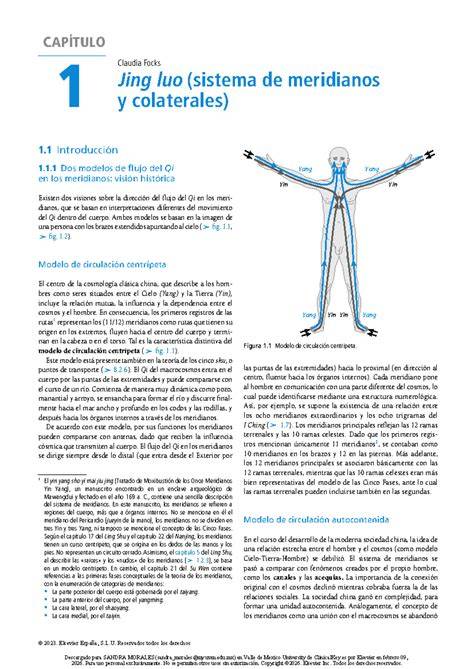 Esquema de Jing y meridianos clave