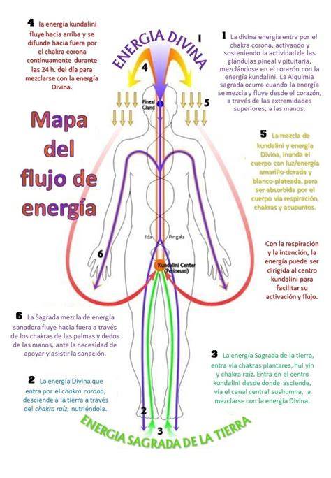 Infografía de chakras y flujo de energía