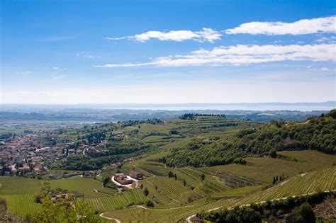 Panorama de viñedos y colinas de Valpolicella