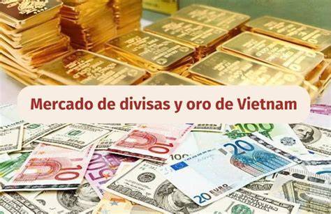 infografia di 