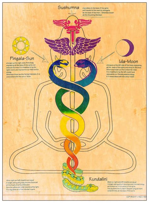 infografía de Kundalini Yoga y Hatha Yoga en Siena