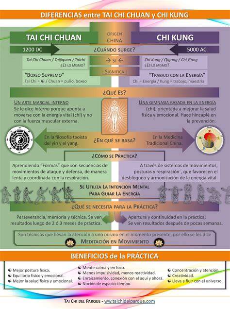 infografía de Tai Chi Yang estilo y maestro Tung