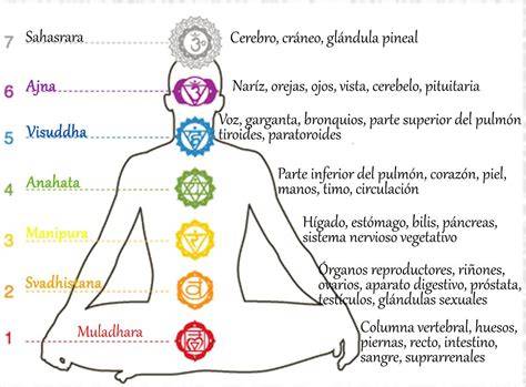 diagrama de kanda y chakras