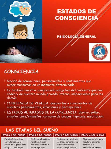 gráficos de sueño y estados de conciencia
