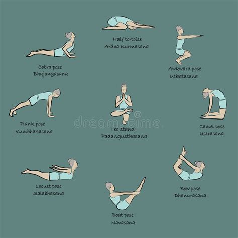 Ilustraciones de asanas y anatomía corporal