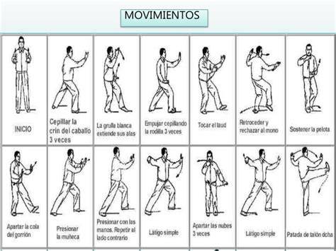 diagrama de movimientos de Tai Chi para principiantes