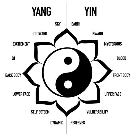 conceptos de qigong yin yang y dan tian