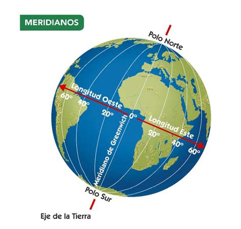ilustración de meridianos faciales y tórax