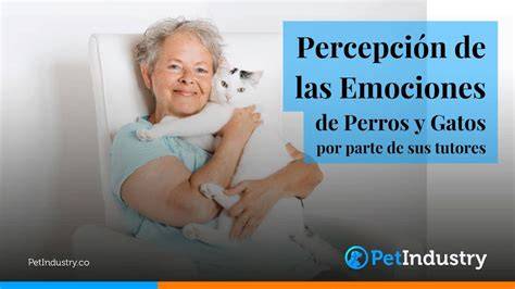 gato percepcion energetica emociones