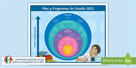 Infografía de estructura del programa y áreas de actuación
