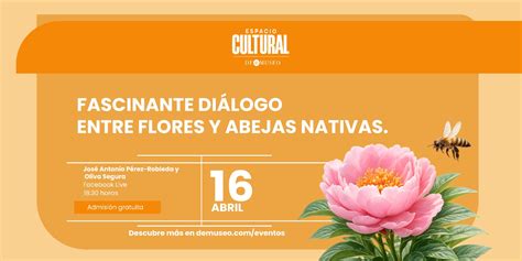 diálogo entre culturas antiguas y nativas