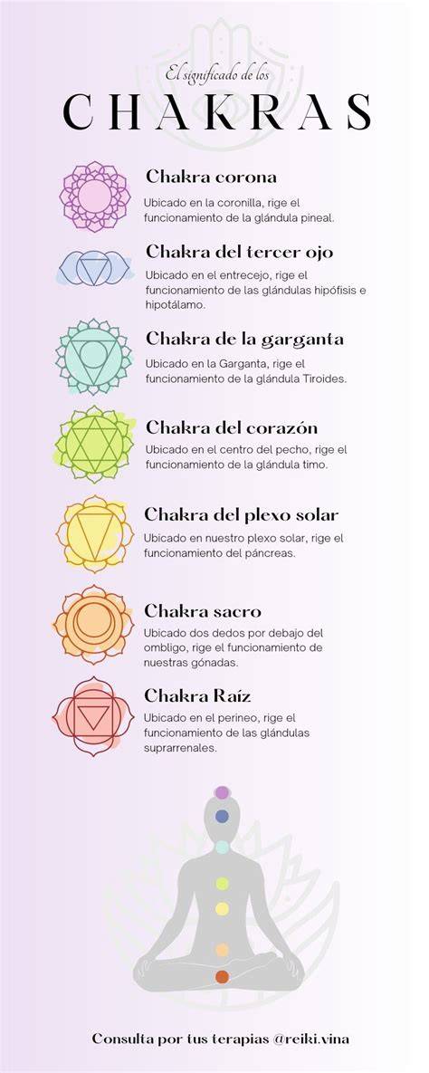 Infografía: recorrido energético y chakras