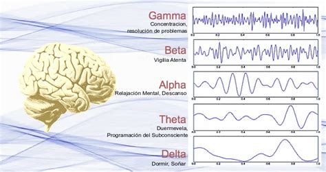 diagrama de ondas cerebrales MT alfa