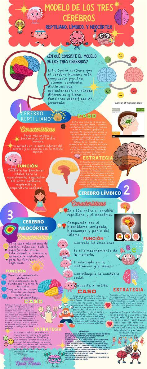 infografía de la Cuarta Vía: tres cerebros y autoobservación