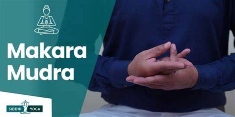 makara mudra-cocodrilo-energia-riñones