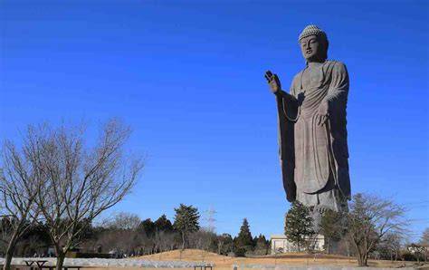 imagen representación de Ushiku Daibutsu y jardines
