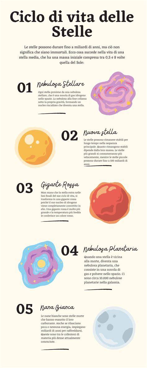 Infografica: ciclo di una sessione Reiki