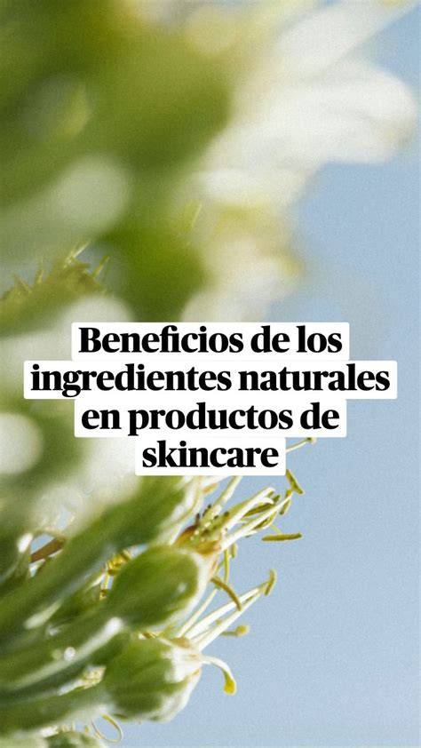 Esquema de beneficios de ingredientes naturales