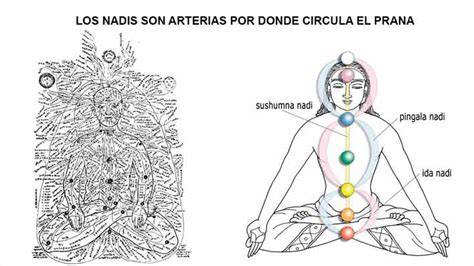 diagramas de flujo de chakras y nadis