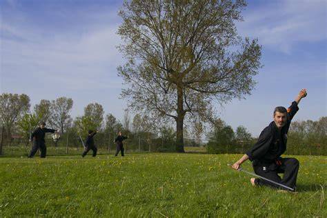 infografia resumen de Viet Tai Chi y Dai Lao