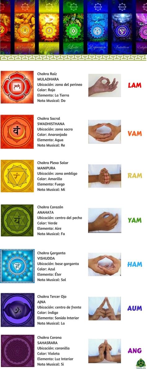 Mapa de chakras y mudras con correspondencias elementales